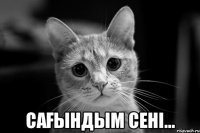  САҒЫНДЫМ СЕНІ...