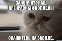 ЗАКОНЧИТЕ НАШ ПРЕКРАСНЫЙ КОЛЛЕДЖ ОКАЖИТЕСЬ НА ЗАВОДЕ..
