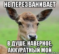 Не перезванивает В душе, наверное, аккуратный мой