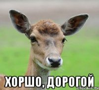 Хоршо, дорогой