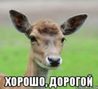  Хорошо, дорогой