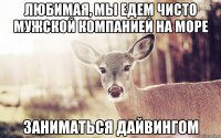 Любимая, мы едем чисто мужской компанией на море заниматься дайвингом