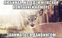 Любимая, мы едем мужской компанией на море заниматься дайвингом