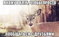 я хожу в клуб, чтобы просто пообщаться с друзьями