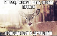 Милая, я хожу в клуб, чтобы просто пообщаться с друзьями