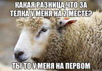 какая разница,что за телка у меня на 2 месте? Ты то у меня на первом