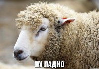  ну ладно