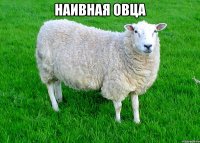Наивная овца 