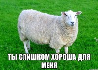  Ты слишком хороша для меня