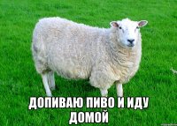  Допиваю пиво и иду домой