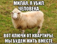 Милая, я убил человека Вот ключи от квартиры, мы будем жить вместе