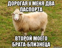 дорогая у меня два паспорта второй моего брата-близнеца