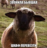 Звонила бывшая Шкаф перевезти