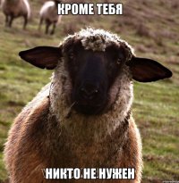 кроме тебя никто не нужен