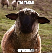 ты такая красивая