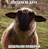 поехали на дачу шашлыки пожарим