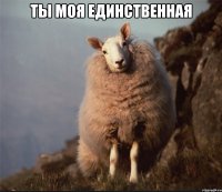 ты моя единственная 