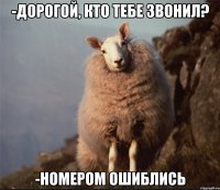 -Дорогой, кто тебе звонил? -Номером ошиблись