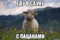 еду в сауну с пацанами