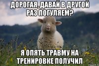 Дорогая, давай в другой раз погуляем? Я опять травму на тренировке получил