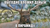 Выгодно вложил деньги В пирамиду
