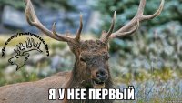  Я у нее первый