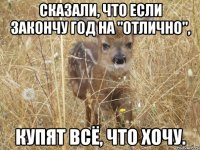 Сказали, что если закончу год на "отлично", купят всё, что хочу.