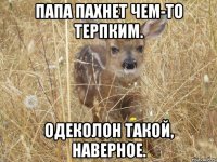 Папа пахнет чем-то терпким. Одеколон такой, наверное.