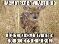 Насмотрелся ужастиков ночью хожу в туалет с ножом и фонариком