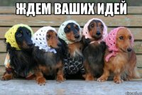 ждем ваших идей 
