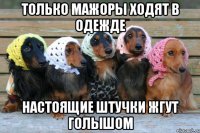 только мажоры ходят в одежде настоящие штучки жгут голышом