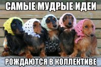 самые мудрые идеи рождаются в коллективе
