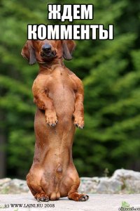 ждем комменты 