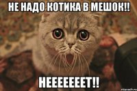 не надо котика в мешок!! нееееееет!!