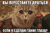вы перестанете драться если я сделаю такие глаза?