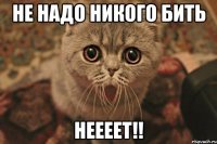 не надо никого бить неееет!!