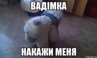 Вадімка накажи меня