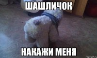 Шашличок накажи меня