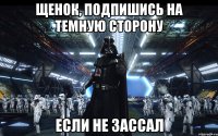 Щенок, подпишись на Темную сторону Если не зассал