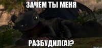 Зачем ты меня разбудил(а)?