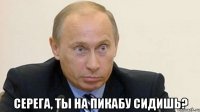  Серега, ты на Пикабу сидишь?