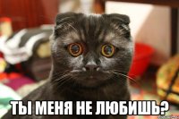  ты меня не любишь?