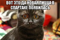 Вот это да новая пицца в спартаке появилась 