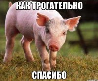 как трогательно спасибо