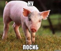 ну посиб