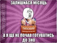 ЗАЛИШИАСЯ МІСЯЦЬ А Я ЩЕ НЕ ПОЧАВ ГОТУВАТИСЬ ДО ЗНО
