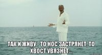  так и живу - то нос застрянет, то хвост увязнет...