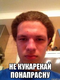  не кукарекай понапрасну