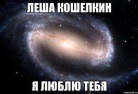 Леша Кошелкин Я люблю тебя