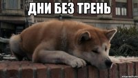 дни без трень 